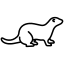veterinario-furao