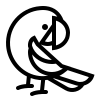 veterinario-papagaio