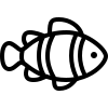 veterinario-peixe