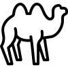 veterinario-zoologico